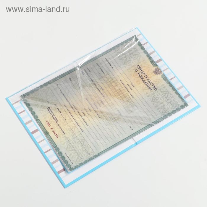 Папка для свидетельства о рождении мальчика &laquo;Бабочка&raquo;, А5