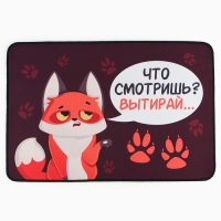 Коврик придверный «Что смотришь?», 40 х 60 см Коврик придверный «Что смотришь?», 40 х 60 см