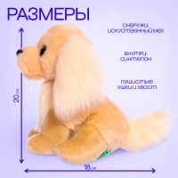 Мягкая игрушка &laquo;Собака золотистый ретривер&raquo;, 20 см