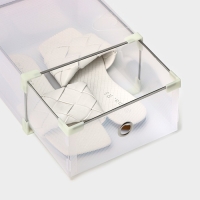 Коробка для хранения обуви выдвижная Доляна Middle size, 20&times;31&times;11 см, 3 шт, цвет белый