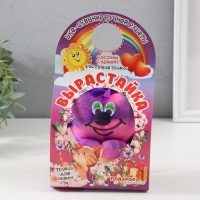 Растущий подарок травка Вырастайка "Зинди" МИКС