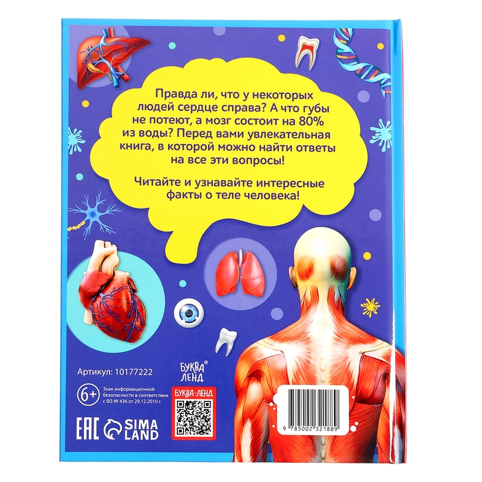 Энциклопедия в твёрдом переплёте &laquo;200 фактов о теле человека&raquo;, 48 стр.