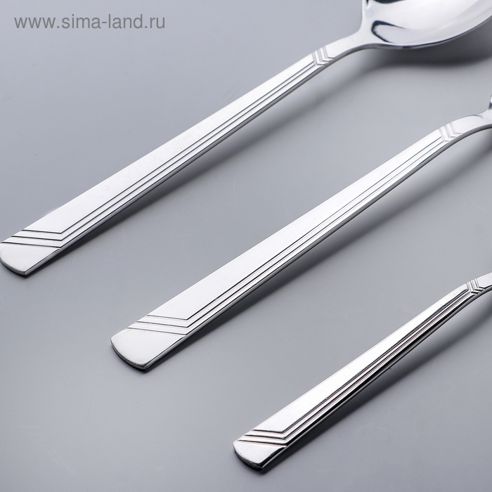 Набор столовый «Аппетит», 18 предметов, в картонной коробке ВИТРИНА, цвет серебряный Набор столовый «Аппетит», 18 предметов, в картонной коробке ВИТРИНА, цвет серебряный