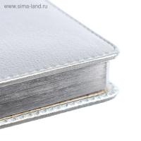 Ежедневник недатированный А5+, 136 листов Sidney Nebraska, обложка искусственная кожа, серебряный срез, ляссе, серебряный