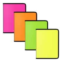Папка для тетрадей А5+, ErichKrause Matt Neon, пластиковая, на молнии, микс Папка для тетрадей А5+, ErichKrause Matt Neon, пластиковая, на молнии, микс