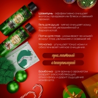 Новогодний подарочный набор косметики «Зимнее путешествие» для душа и ванны, зеленая серия Новогодний подарочный набор косметики «Зимнее путешествие» для душа и ванны, зеленая серия
