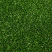 Газон искусственный, ворс 20 мм, 2 × 10 м, зелёный, Greengo Газон искусственный, ворс 20 мм, 2 × 10 м, зелёный, Greengo