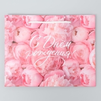 Пакет подарочный ламинированный, упаковка, &laquo;С Днём рождения!&raquo;, MS 23 х 18 х 8 см