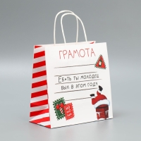 Пакет подарочный новогодний крафтовый «Молодец», 22 х 22 х 11 см, Новый год Пакет подарочный новогодний крафтовый «Молодец», 22 х 22 х 11 см, Новый год