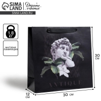 Пакет подарочный ламинированный квадратный, упаковка, &laquo;Antique&raquo;, 30 х 30 х 12 см