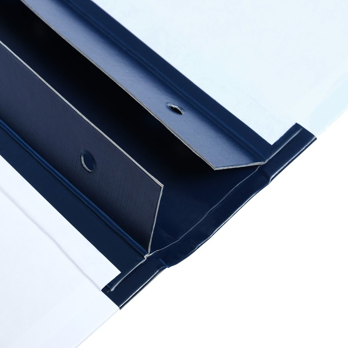 Папка архивная для переплета Calligrata Папка архивная для переплета Calligrata "Форма 21", с гребешками, 4 отверстия, с 2 завязками, 50 мм