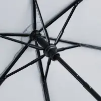 Зонт складной Safebrella, серый Зонт складной Safebrella, серый