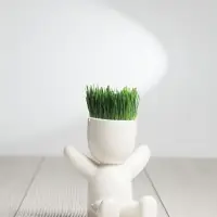 Набор для выращивания Funky Kid