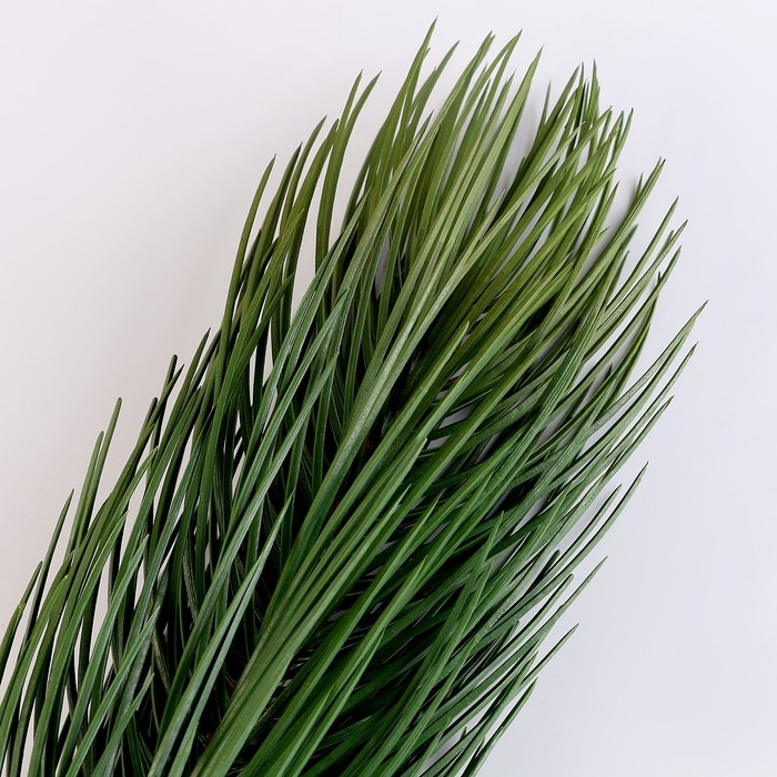 Новый год! Литая веточка, зелёная, набор 1 шт.