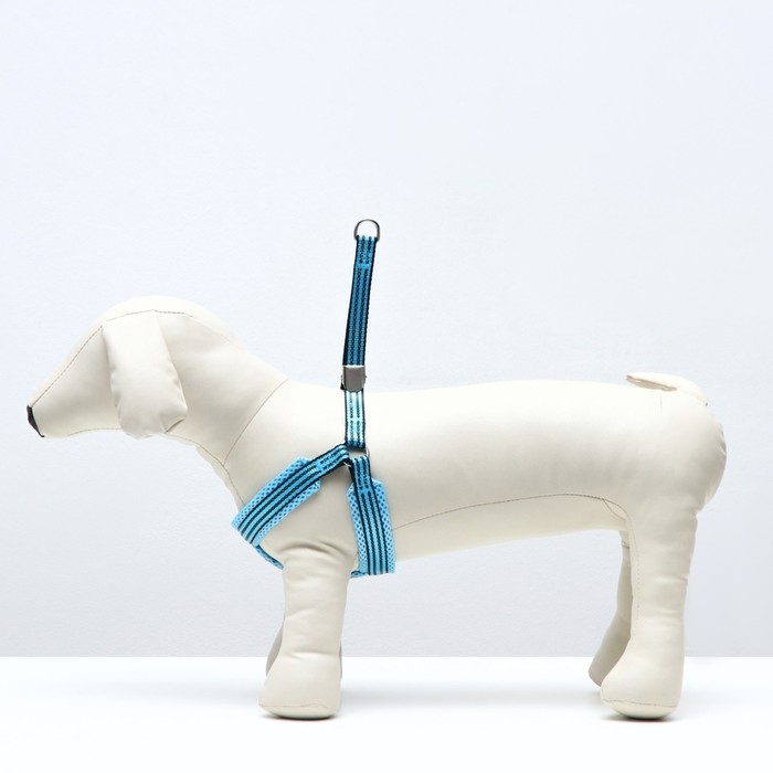 Шлейка супермягкая со светоотражающей прошивкой, размер М, обхват 32-63 см, голубая Шлейка супермягкая со светоотражающей прошивкой, размер М, обхват 32-63 см, голубая