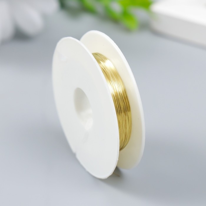 Проволока для творчества Проволока для творчества "Astra" 0,2 мм, 10 м, золото