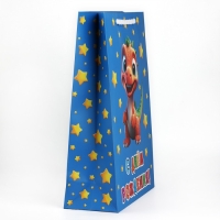 Пакет ламинированный вертикальный &laquo;Динозавр&raquo;, L 31 х 40 х 11.5 см