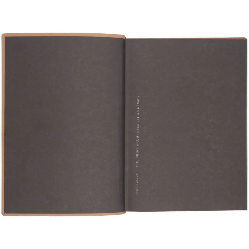 Ежедневник Anaconda, недатированный, серебристый