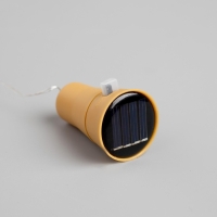 Гирлянда &laquo;Нить&raquo; 2 м роса с пробкой, IP44, серебристая нить, 20 LED, свечение зелёное, фиксинг, солнечная батарея