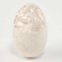 Набор для раскопок «Волшебный змей» Набор для раскопок «Волшебный змей»