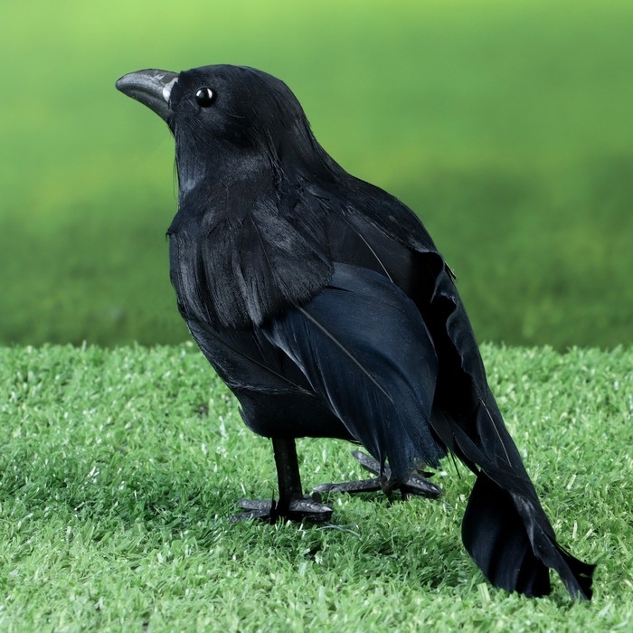 Фигура Фигура "Ворон" 20х6х10см