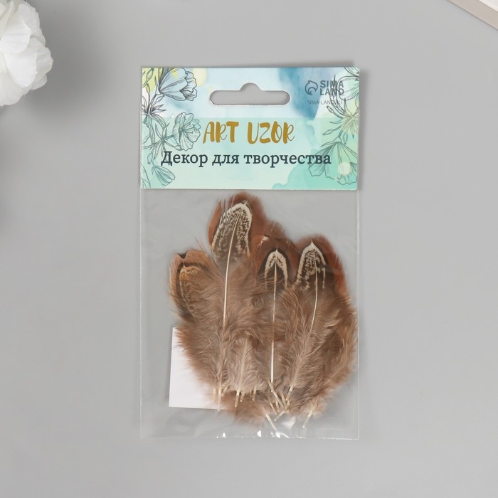 Перо декоративное фазана "Рябь. Коричневая" набор 20 шт h=5-7 см