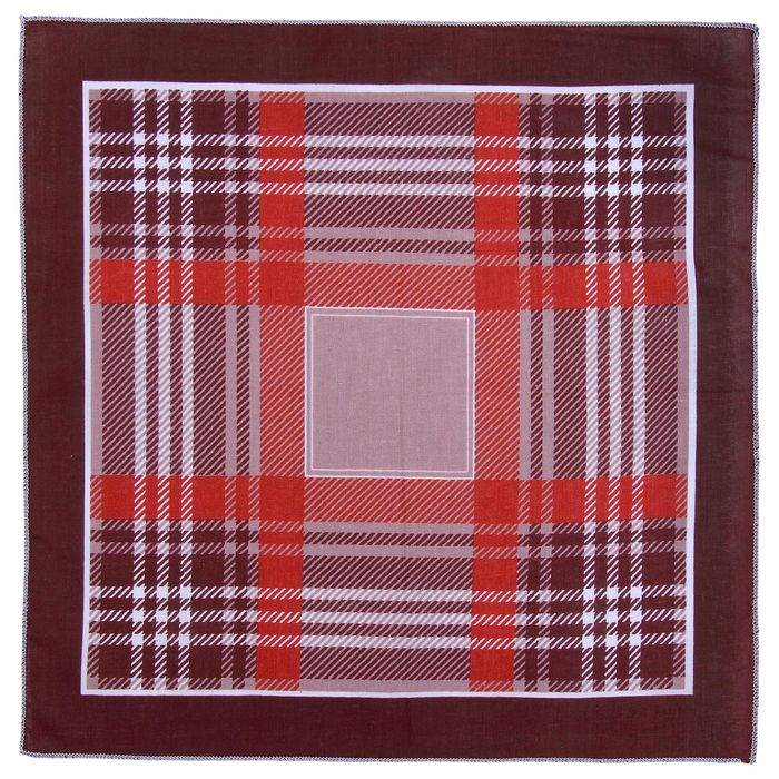 Мужские носовые платки Мужские носовые платки "Этель" размер 30х30 см, (набор 12 шт,) цвет коричневый, рисунок МИКС