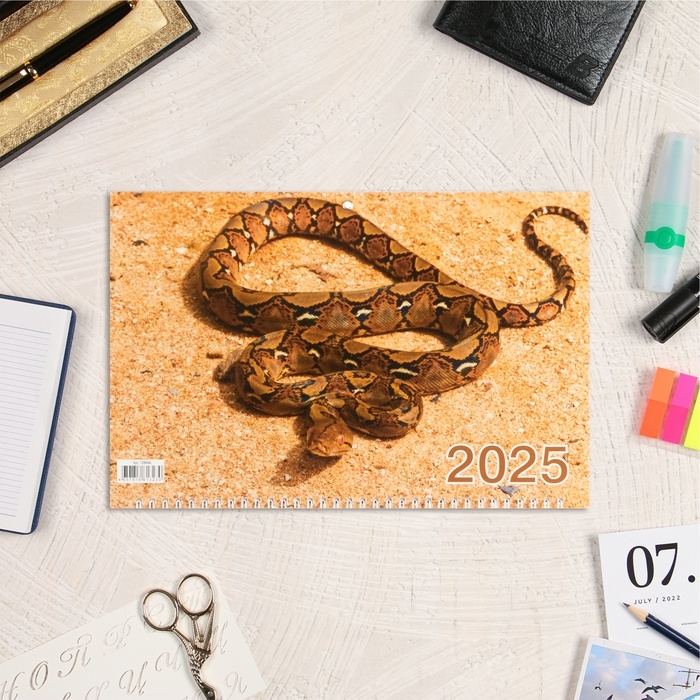 Календарь квартальный, трио Календарь квартальный, трио "Символ года - 4" 2025, 69 х 31 см