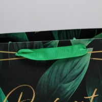 Пакет подарочный ламинированный горизонтальный, упаковка, Present for you, MS 23 х 18 х 10 см