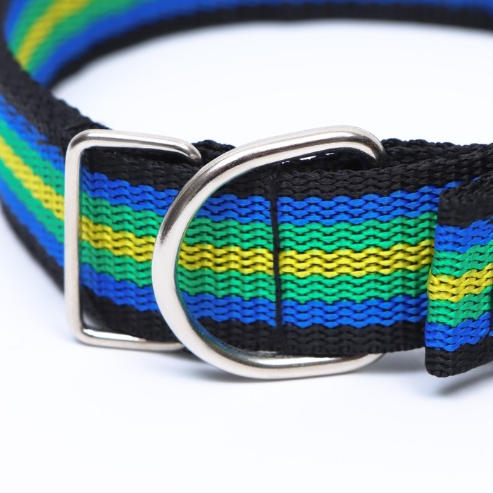 Ошейник четырехслойный, 50 х 3 см, разноцветный Ошейник четырехслойный, 50 х 3 см, разноцветный