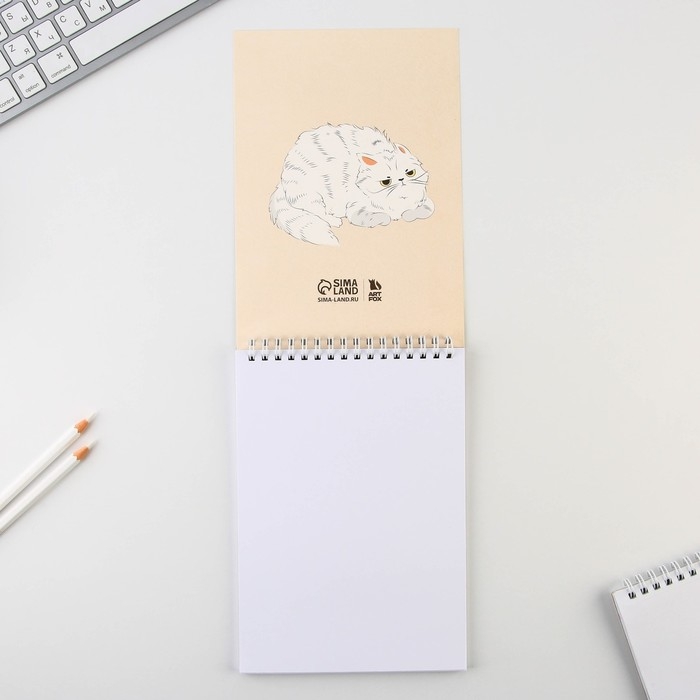 Скетчбук А5, 40 л 100 г/м2 &laquo;Рисунья&raquo;