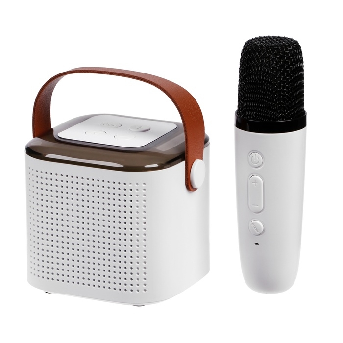 Мини караоке-система Y1, 5 Вт, микрофон, 800/400мАч, Jack 3.5, Type-С, RGB, белая Мини караоке-система Y1, 5 Вт, микрофон, 800/400мАч, Jack 3.5, Type-С, RGB, белая