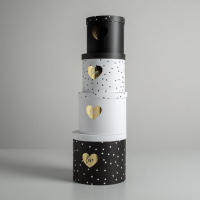 Набор шляпных коробок для цветов 4 в 1, упаковка подарочная, «Чёрно-белый», 14 х 13 см - 20 х 17,5 см Набор шляпных коробок для цветов 4 в 1, упаковка подарочная, «Чёрно-белый», 14 х 13 см - 20 х 17,5 см