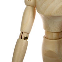 Деревянная модель - Человек 20 см Деревянная модель - Человек 20 см