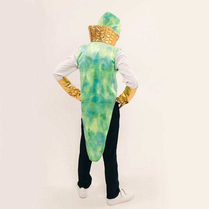 Карнавальный костюм детский &laquo;Новогодний змей&raquo;: жилетка, нагрудник, шапка, нарукавники, рост 116-128 см