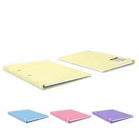 Тетрадь А4 на кольцах, 80 листов в клетку ErichKrause Pastel, пластиковая обложка, блок офсет 100% белизна, МИКС Тетрадь А4 на кольцах, 80 листов в клетку ErichKrause Pastel, пластиковая обложка, блок офсет 100% белизна, МИКС