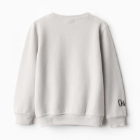 Свитшот детский, цвет серый, рост 116 см