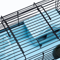 Клетка-мини для грызунов "Пижон" №1, укомплектованная, 27 х 15 х 13 см, бирюзовая Клетка-мини для грызунов "Пижон" №1, укомплектованная, 27 х 15 х 13 см, бирюзовая