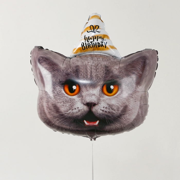 Воздушный шар фольгированный 24" &laquo;Кот &mdash; с днём рождения&raquo;, с подложкой