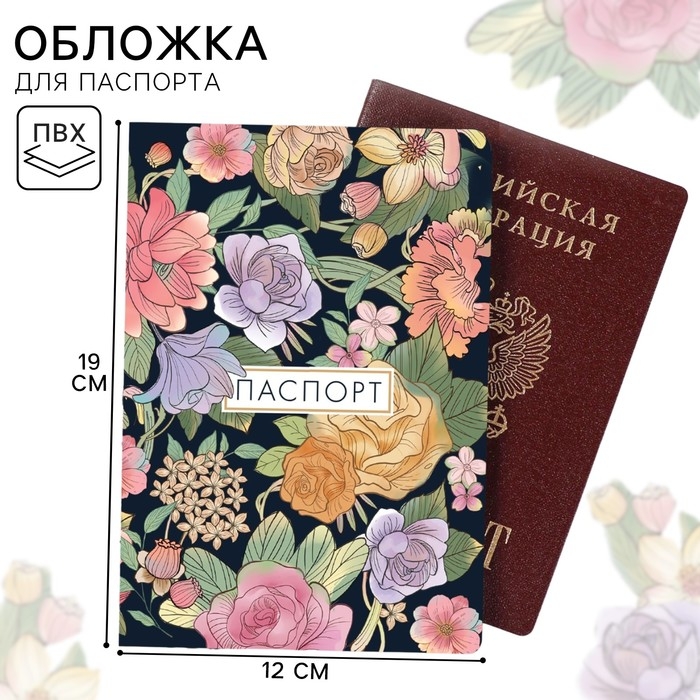 Паспортная обложка, Принцессы Паспортная обложка, Принцессы