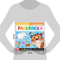 Раскраска по номерам &laquo;Дикие животные&raquo;, 16 стр., с наклейками, 12 картинок, 5+