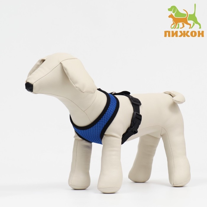 Шлейка мягкая из неопрена, размер M, ОШ 34 см, ОГ 32-42 см, синяя Шлейка мягкая из неопрена, размер M, ОШ 34 см, ОГ 32-42 см, синяя