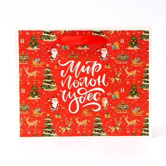 Новый год. Пакет подарочный новогодний бумажный, Новый год. Пакет подарочный новогодний бумажный, "Мир полон чудес", 24 х 20 х 11 см.