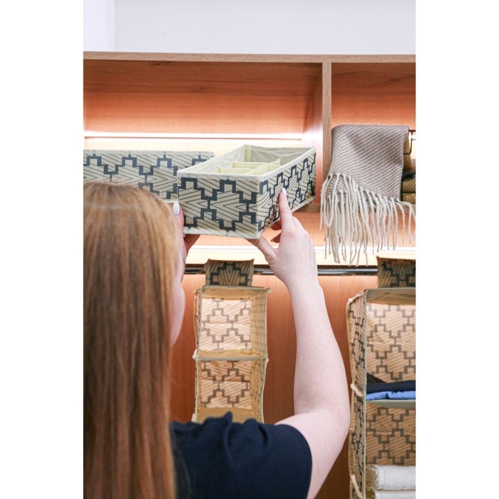 Органайзер для хранения белья Доляна &laquo;Гэтс&raquo;, 8 ячеек, 28&times;14&times;10 см, цвет бежевый