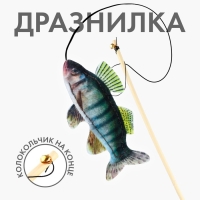 Дразнилка с игрушкой &laquo;Судак&raquo;, 6,5 см