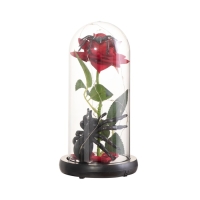 Светильник колба «Паук с розой» 1,5Вт, LED, 3xAAA, черный USB 11х11х21см Светильник колба «Паук с розой» 1,5Вт, LED, 3xAAA, черный USB 11х11х21см