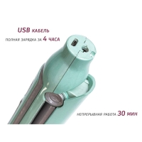 Выпрямитель Pioneer HS-1012R, беспроводной, керамика, до 180&deg;С, бирюзовый