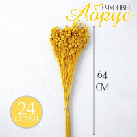 Сухоцвет &laquo;Абрус&raquo; набор 24 шт, цвет желтый