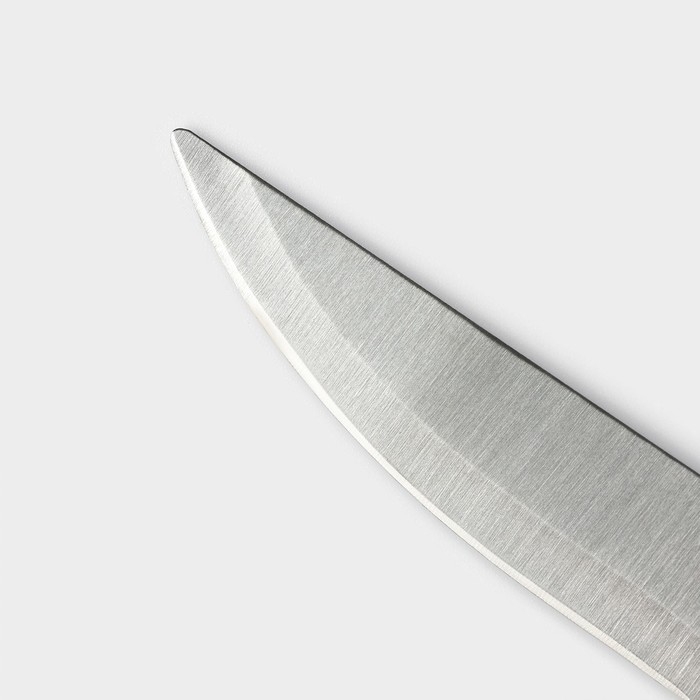 Нож для овощей кухонный Доляна «Триколор», лезвие 8,5 см Нож для овощей кухонный Доляна «Триколор», лезвие 8,5 см