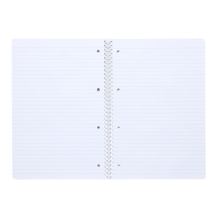 Тетрадь A4, 96 листов в линейку на гребне Тетрадь A4, 96 листов в линейку на гребне "Лабиринт", обложка мелованный картон, глянцевая ламинация, тиснение, блок 65 г/м2, 4В МИКС